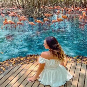 Aviario Nacional + Playa Baru